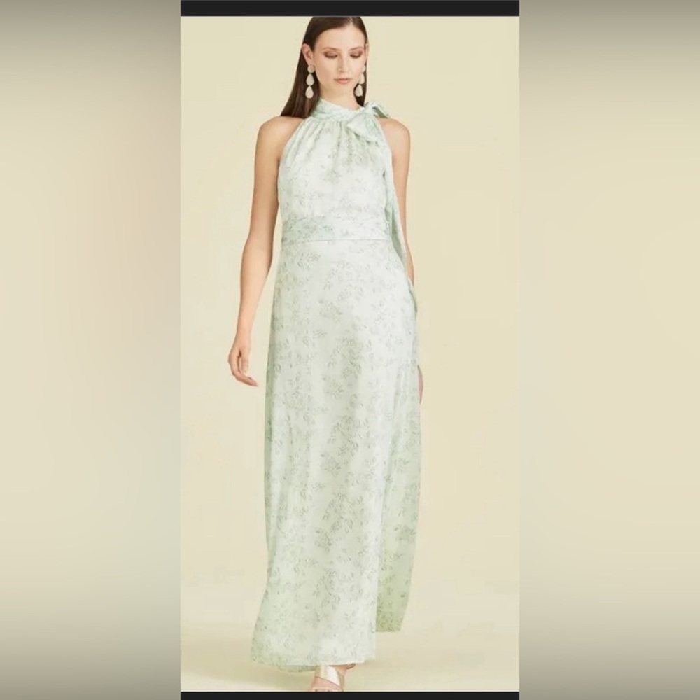 Sachin and Babi Kayla Goen I. Jade Rose Water Color size 12